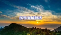 鐵弓夾捕鼠法