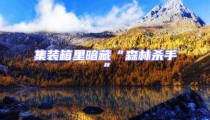 集裝箱里暗藏“森林殺手”