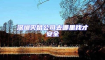 深圳滅鼠公司去哪里找才安全