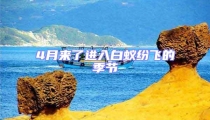 4月來了進入白蟻紛飛的季節(jié)