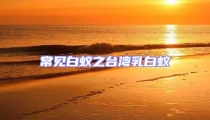常見白蟻之臺灣乳白蟻