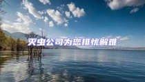滅蟲公司為您排憂解難