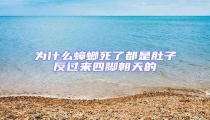 為什么蟑螂死了都是肚子反過來四腳朝天的