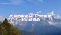 滅蟑螂的小竅門,特別是對小蟑螂的