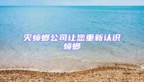滅蟑螂公司讓您重新認識蟑螂