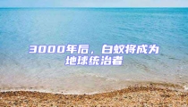 3000年后,白蟻將成為地球統治者