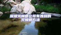 深圳滅蟑螂公司有獨到的滅蟑螂方法