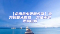 【龍崗殺蟲滅鼠公司】南方蟑螂太魔性  方法不對滅蟑白費(fèi)