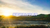 蟑螂棲息四個條件
