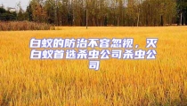 白蟻的防治不容忽視,滅白蟻首選殺蟲公司殺蟲公司