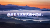 除蟲公司交你滅蟲小妙招。