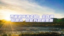 西藏哨所養老鼠:會作揖翻跟頭 幫官兵規避雪崩