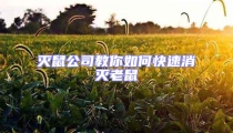 滅鼠公司教你如何快速消滅老鼠