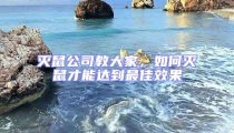 滅鼠公司教大家,如何滅鼠才能達(dá)到最佳效果