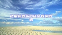 使用蟑螂藥后還會有蟑螂嗎