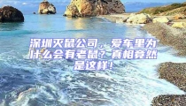 深圳滅鼠公司,愛車里為什么會有老鼠?真相竟然是這樣!