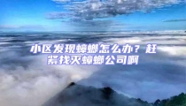 小區(qū)發(fā)現(xiàn)蟑螂怎么辦?趕緊找滅蟑螂公司啊