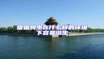 吸血臭蟲在什么樣的環境下容易滋生