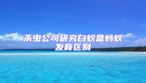 殺蟲公司研究白蟻盒螞蟻發育區別