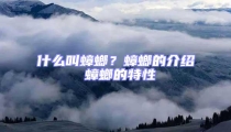 什么叫蟑螂?蟑螂的介紹 蟑螂的特性