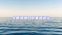 土質堤壩白蟻來源途徑