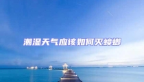 潮濕天氣應(yīng)該如何滅蟑螂
