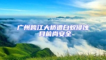 廣州跨江大橋遭白蟻侵蝕 目前尚安全