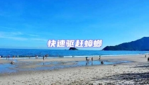 快速驅趕蟑螂