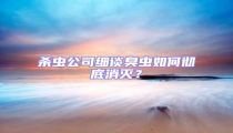 殺蟲公司細談臭蟲如何徹底消滅?