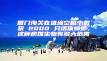 廈門海關在進境空箱中截獲 2000 只活體蟑螂,這種病媒生物有多大危害?