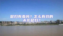 鼠婦有毒嗎?怎么有效的殺死鼠婦?