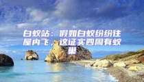 白蟻站:假如白蟻紛紛往屋內飛,這證實四周有蟻巢