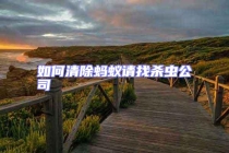 如何清除螞蟻請找殺蟲公司