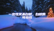 一次性滅殺白蟻,白蟻的可怕性