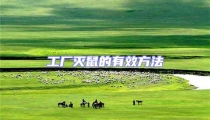 工廠滅鼠的有效方法