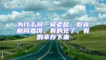 為什么同一窩老鼠,取食相同毒餌,有的死了、有的幸存下來