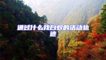 通過什么找白蟻的活動軌跡