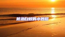 防治白蟻的小妙招