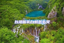 臺灣版乳白蟻怎么滅