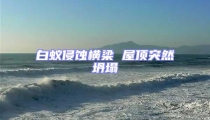 白蟻侵蝕橫梁 屋頂突然坍塌