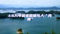 1.5萬年前老鼠就與人“共舞”