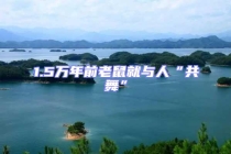 1.5萬年前老鼠就與人“共舞”