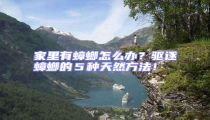 家里有蟑螂怎么辦?驅逐蟑螂的5種天然方法!