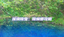 深圳除蟲:除蟑螂攻略