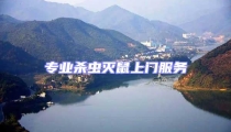 專業(yè)殺蟲滅鼠上門服務(wù)