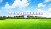 冬春是消滅蟑螂的極佳時機