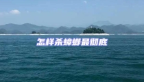 怎樣殺蟑螂最徹底
