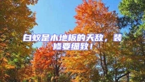 白蟻是木地板的天敵,裝修要細致!