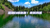 深圳白蟻危害!市民問答!