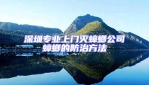深圳專業上門滅蟑螂公司蟑螂的防治方法